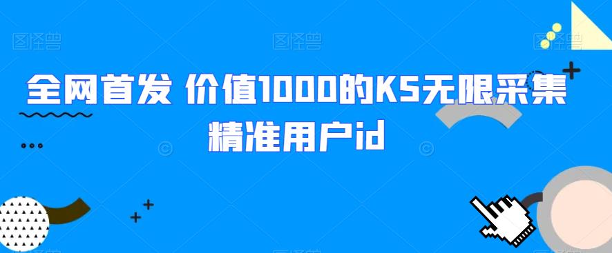 全网首发 价值1000的KS无限采集精准用户id网赚项目-副业赚钱-互联网创业-资源整合1668网赚